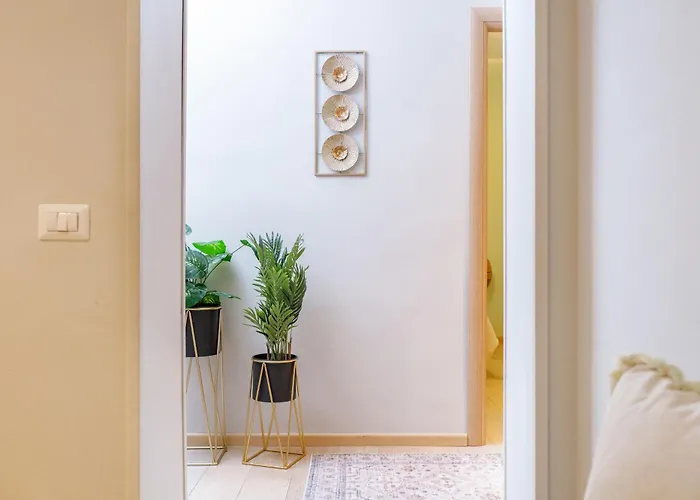 Dng House - Vatican Collection 80 Square *